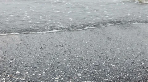 Sea waves over shells on beach Stock Footage 37219148