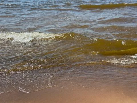 Sea Waves Reaching Sandy Beach on Sunny Summer Day Фото