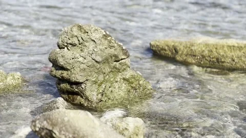 Sea Waves Reef Stock Footage 232317560