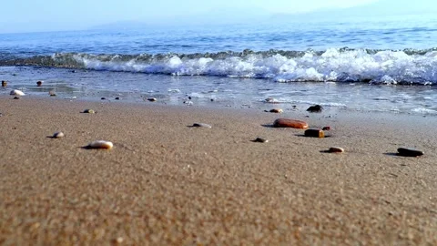Sea waves ripple over a tranquil shoreline, where fine sand meets scattered p Stock Footage 313656567