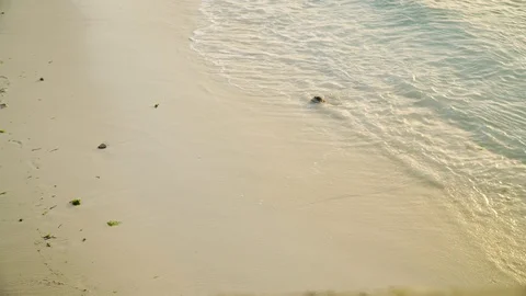 Sea waves rolling on sandy beach in evening Video stock 105418442