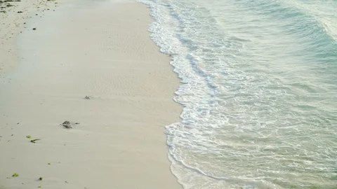 Sea waves rolling on sandy beach in evening Stock Footage 105418496