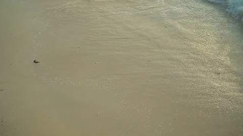 Sea Waves Rolling On Sandy Beach At Sunset Stock Footage 107427112