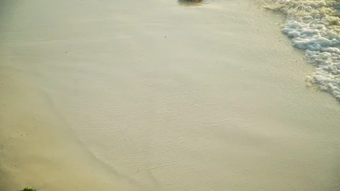 Sea Waves Rolling On Sandy Beach At Sunset Stock Footage 107427435