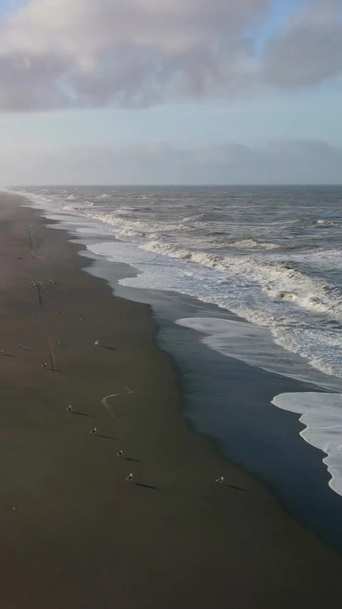 Sea Waves Rolling Onto Sandy Beach With Seagulls Stock Footage 339104539