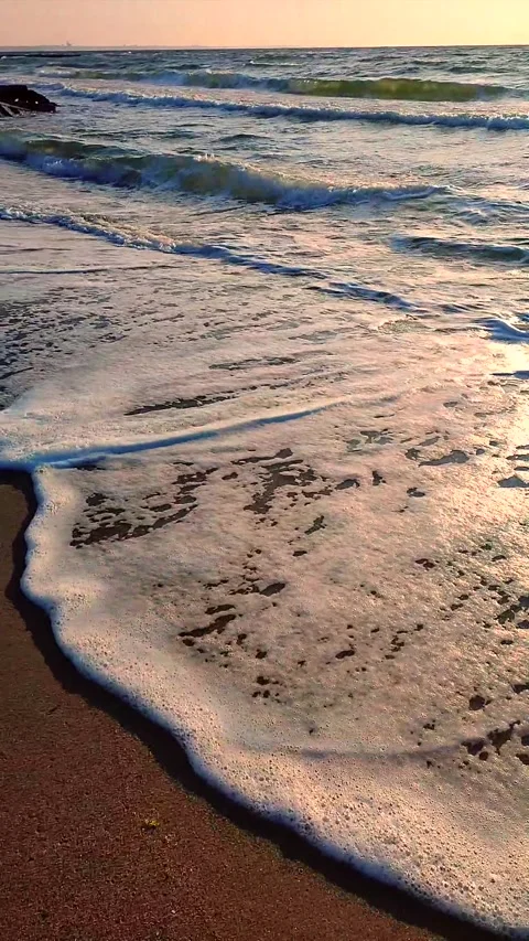 Sea waves rolling on sandy shore beach sea coast dawn sunset. Blue sea. Vertical Stock Footage 241016193