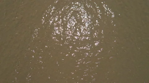 Sea waves on the sand close-up Stock Footage 87531794