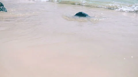 Sea waves on the sand close-up Slow motion Stock Footage 87305887