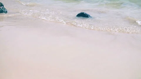 Sea waves on the sand close-up Slow motion Stock Footage 87305968