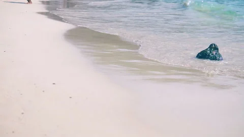 Sea waves on the sand close-up Slow motion Stock Footage 87305979