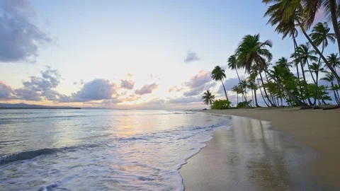 Sea waves on the sand of a palm beach against the backdrop of a beautiful sunset Stock Footage 341561410
