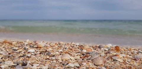 Sea ​​/ waves / sand / shore / shells Stock Footage 140874769