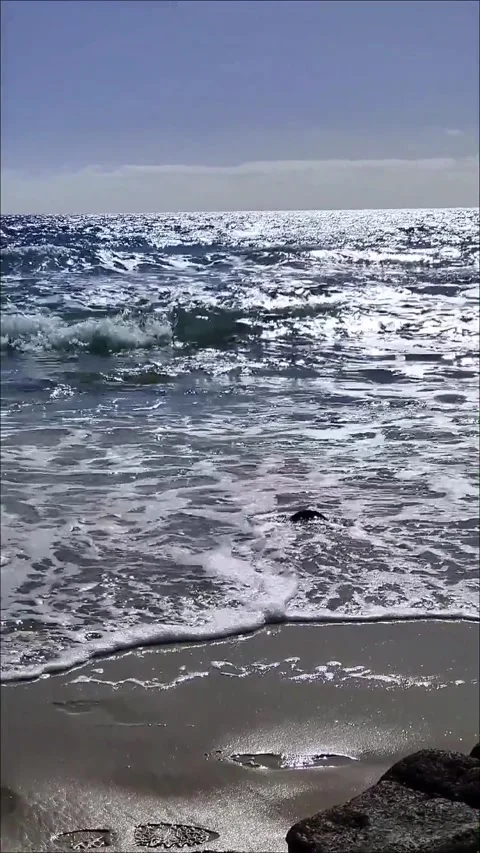 Sea waves on the sandy beach in the sunlight. 스톡 동영상 347323344