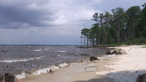 Sea waves on seashore of beach Stock Footage 100172337