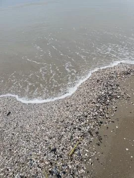 Sea waves on a shell beach Stock Photos