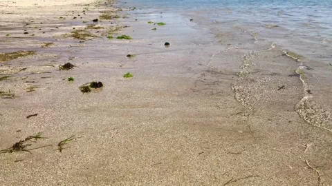 Sea ​​waves on the shoreline Stock Footage 294304555