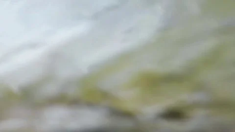 Sea waves in slow motion - rocks, moss and anemones Stock Footage