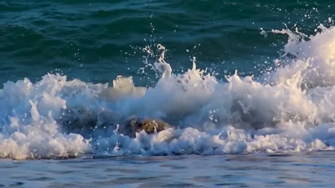 Sea waves splashing sandy beach during summer day Stock Footage 145090410