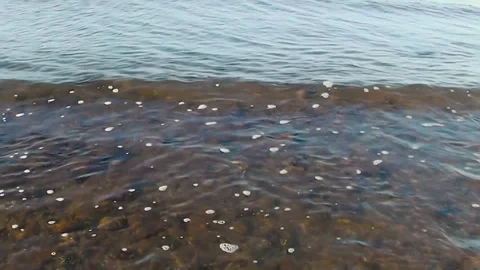Sea waves splashing sandy beach during summer day. Video stock 152687637