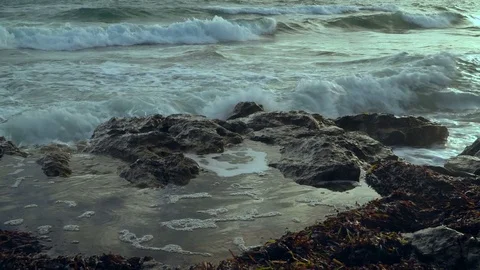 Sea, waves, spray, shore. Stock-Footage 80516078