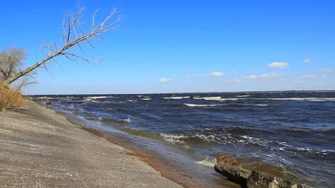 Sea waves with stone and tree on the beach Stock-Footage 74673041
