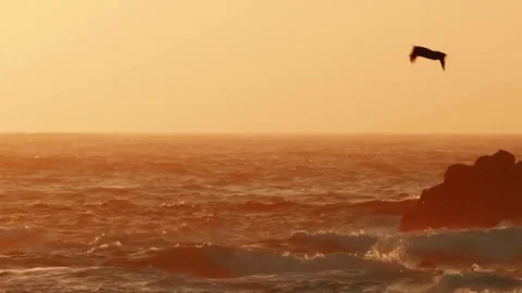 Sea waves with sunset Stock Footage 252436206