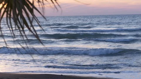 Sea waves at sunset with palm leaves silhouette. Mediterranean vacation in Stock Footage 332810726