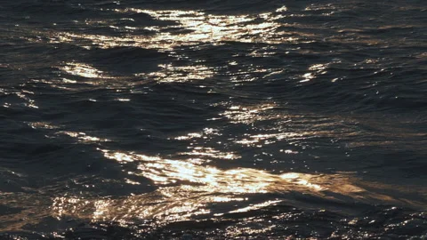 Sea waves in the sunset rays Stock-Footage 200501283