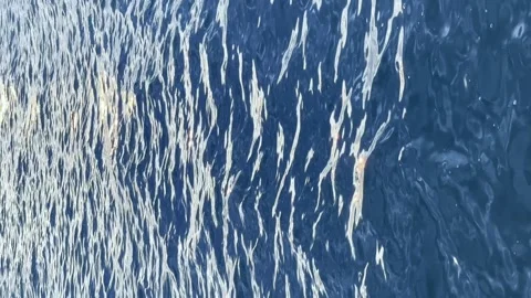 Sea waves at sunset slow motion Stock Footage 248616696