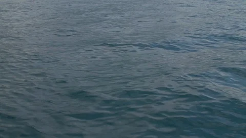 Sea, waves, surface Slow motion Stock Footage 94599319