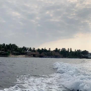 Sea , Waves , Tree , Winter , Clouds Stock Photos