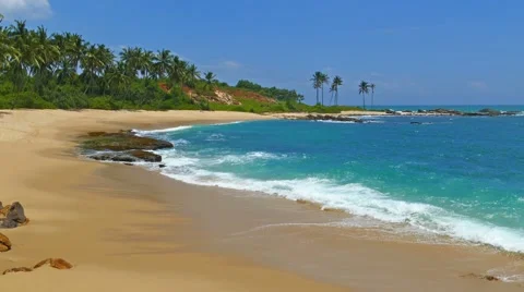 Sea waves on tropical beach and coconut palms Stock Footage