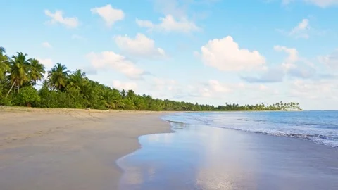 Sea waves on warm sand. A tropical sea voyage.  Stock Footage 341159639