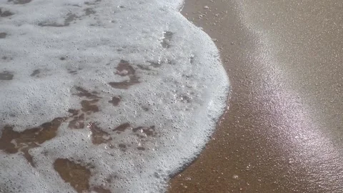 Sea Waves Wash The Sandy Smooth Beach On A Sunny Day During Sunset. Stock Footage 142714568