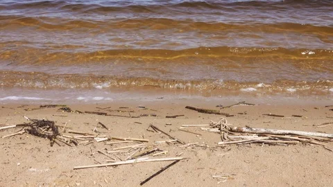 Sea waves on the wild beach Stock Footage 107537196