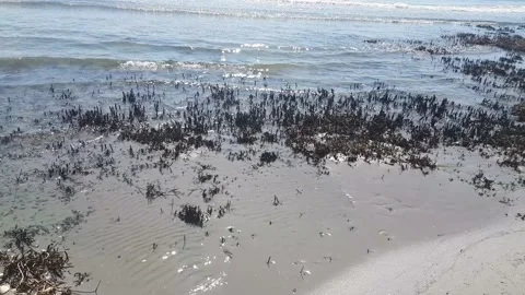 Sea waves - wild beach Stock-Footage 138300472