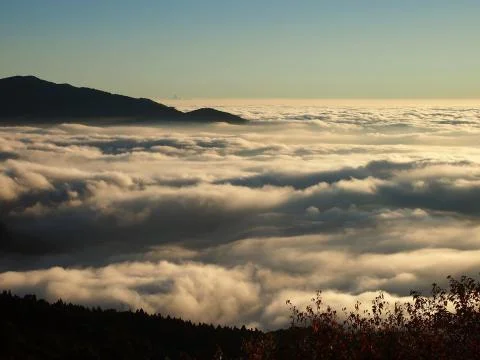 Sea of white clouds at dusk at Mount Ali in Taiwan 写真素材