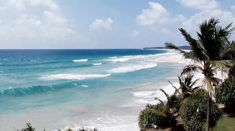 Sea wind palms waves 스톡 동영상 116437784