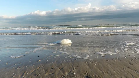 The sea in winter Stock Footage 100876354