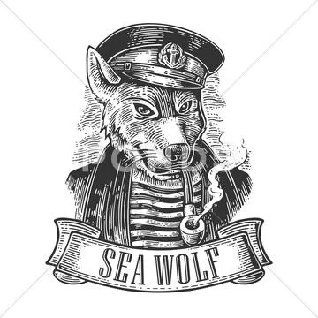 Sea wolf with pipe and ribbon Stock Illustration