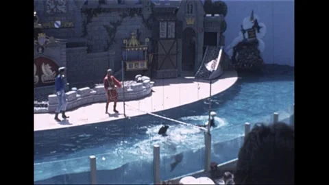 Sea World Orlando, Florida, USA, 1980 Stock Footage 304233953