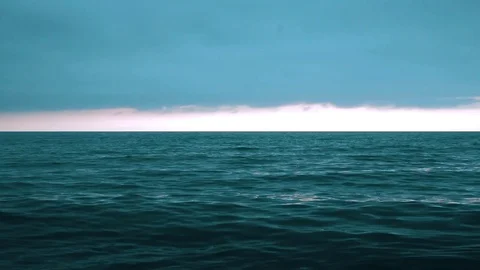 Sea6 Stock Footage 95321453