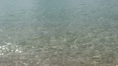 Sea7 Stock Footage 162661769