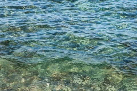 Seabed background 写真素材