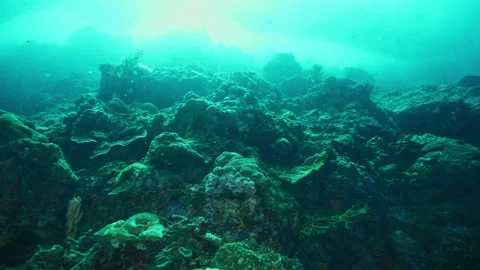 Seabed covered with different rocks and corals underwater Stock Footage 282496781