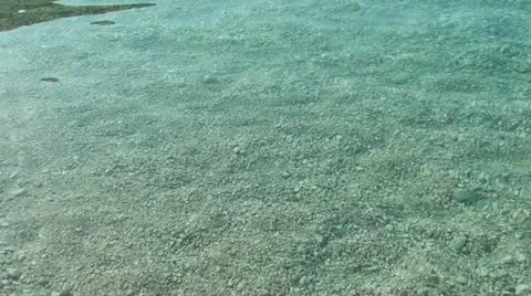 Seabed Stock Footage 11515173