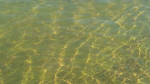 Seabed nature static shot. Stock Footage 255198726