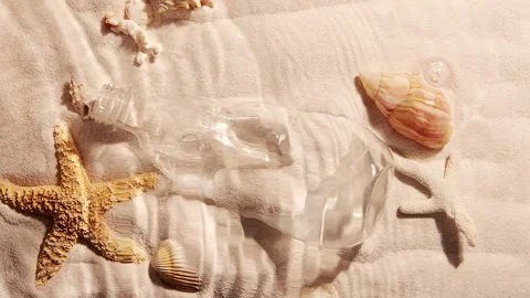 Seabed Plastic pollution bottle on sand and shells Stock Footage 256295486