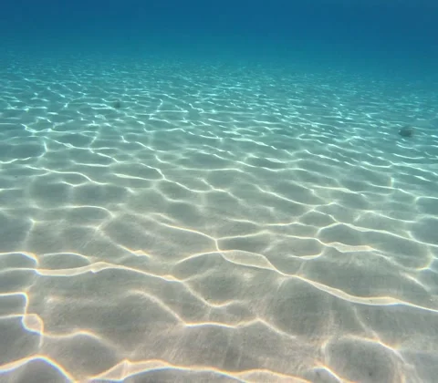 Seabed seen while swimming in the Mediterranean along the Sicilian coast Stock Footage 313332453