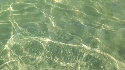 Seabed in shallow water. wave running onto sandy shore. Video stock 265705242